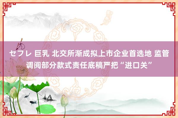 セフレ 巨乳 北交所渐成拟上市企业首选地 监管调阅部分款式责任底稿严把“进口关”