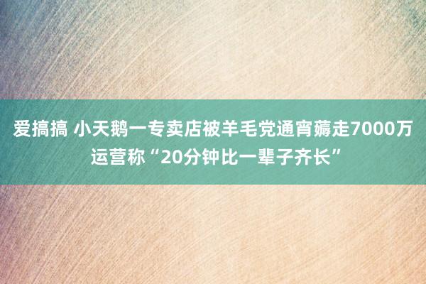 爱搞搞 小天鹅一专卖店被羊毛党通宵薅走7000万 运营称“20分钟比一辈子齐长”